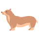 柯基犬 icon