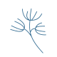 Branch icon