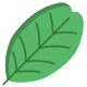 Carob Tree Leaf icon