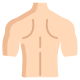 Male Body icon