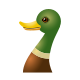 Pato icon