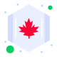 Canadá icon