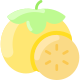 Persimmon icon