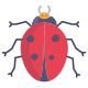 Ladybug icon