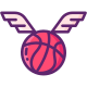 asas externas-basquetebol-flaticons-linear-color-flat-icons icon