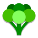 Broccoli icon