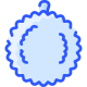 Durian icon