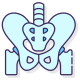 Pelvis icon