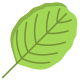 Alder Leaf icon