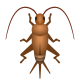 Cricket-Emoji icon