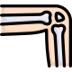 Anatomy icon