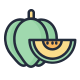 Acorn Squash icon
