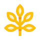 Branch icon