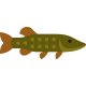 brochet icon