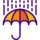 Rain icon