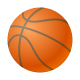 Pallacanestro icon