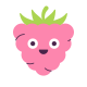 Raspberry icon