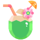 Coconut Water icon