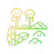 Rainforest icon