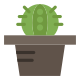 Cactus icon