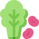 Broccoli and Beans icon