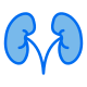 riñón-externo-medico-saludable-creatipo-campo-azul-colorcreatipo icon