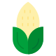 Corn icon