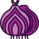 Onion icon