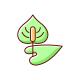 Anthurium icon