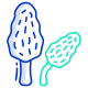 Morel Mushroom icon