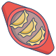 Dumplings icon