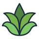 Aloe Vera icon