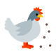 먹이주기-닭 icon