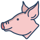 Pig icon