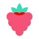 Raspberry icon