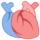 Coeur médical icon