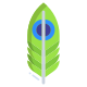 Feather icon