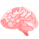 Brain icon