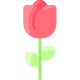 Rosa icon