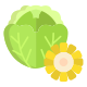 Cabbage And Corn icon