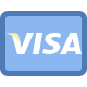 Visa icon