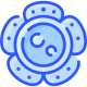 Rafflesia icon