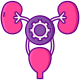 Urinary Tract icon