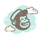 mailchimp icon