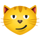 Gato con sonrisa irónica icon