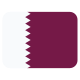 카타르 icon