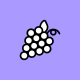 Berry icon