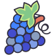 Grape icon