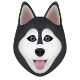 cara de cachorro icon