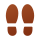 Zapatos icon